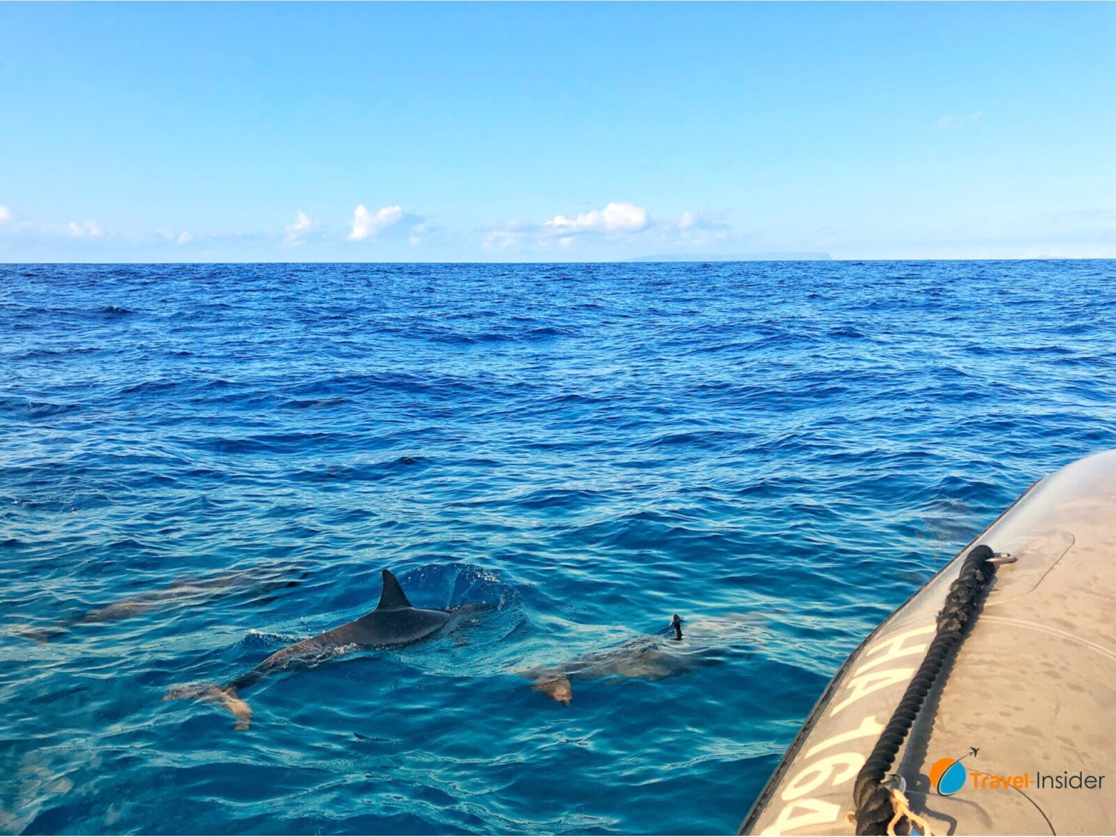Delfine auf dem Weg zur Na Pali Coast