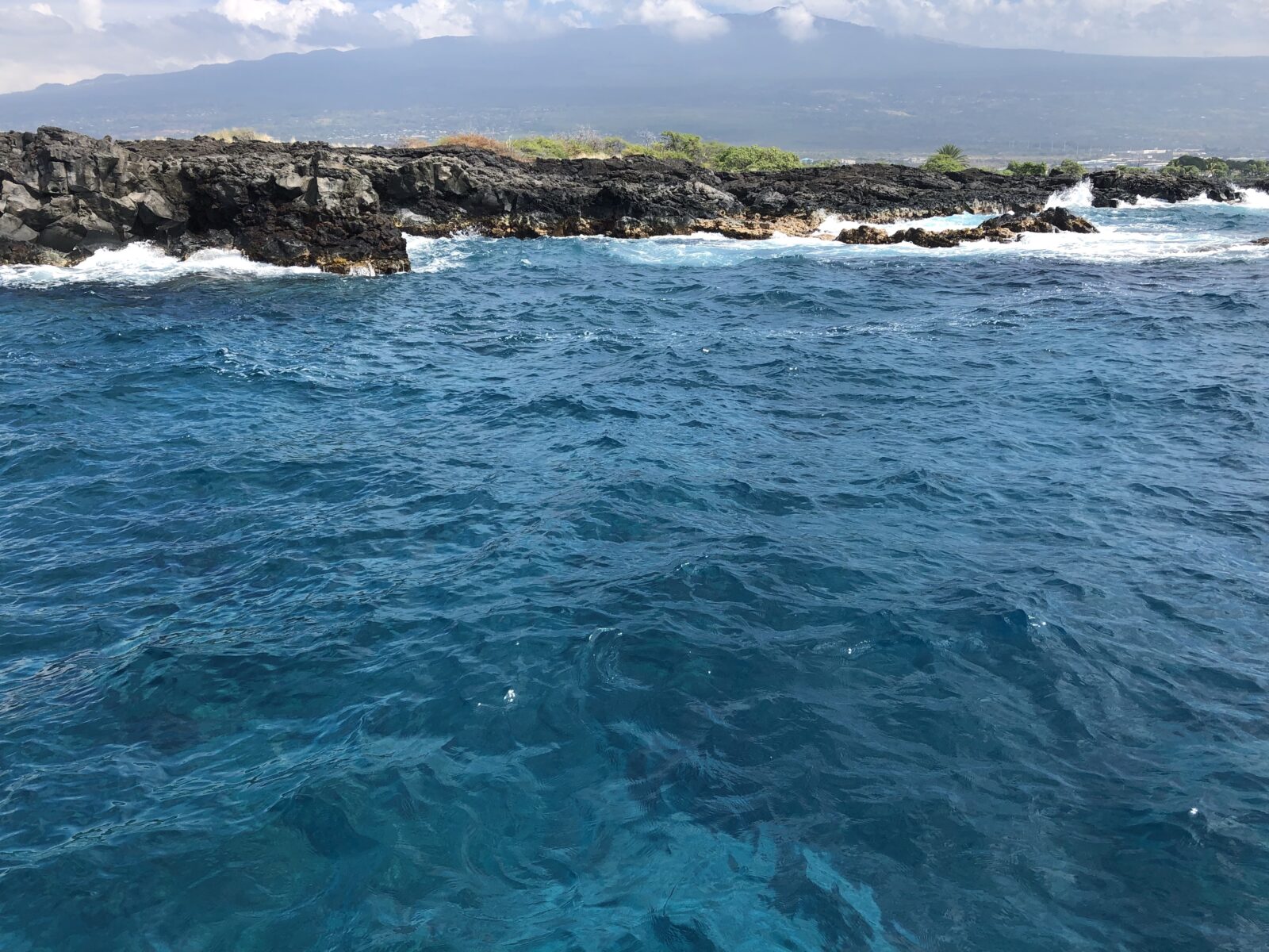 Tauchen in Kona