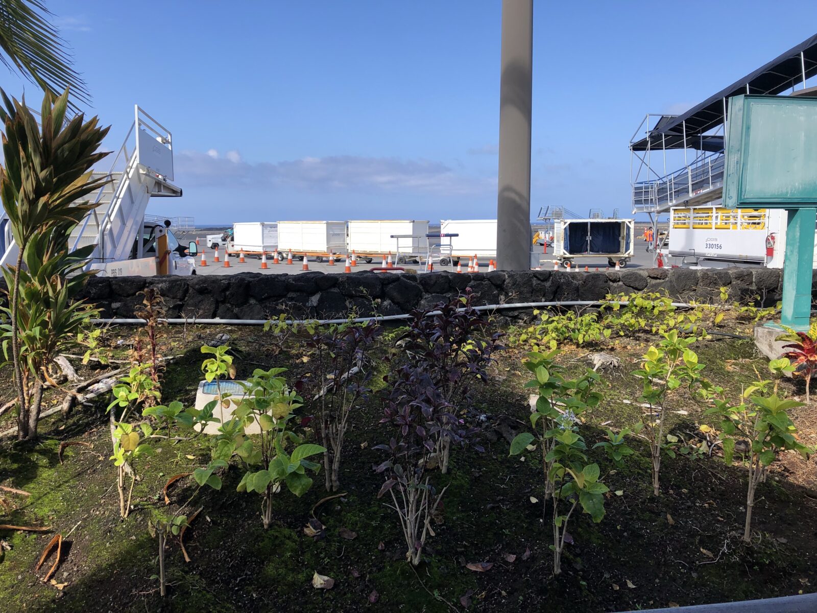 Review Hawaiian Airlines