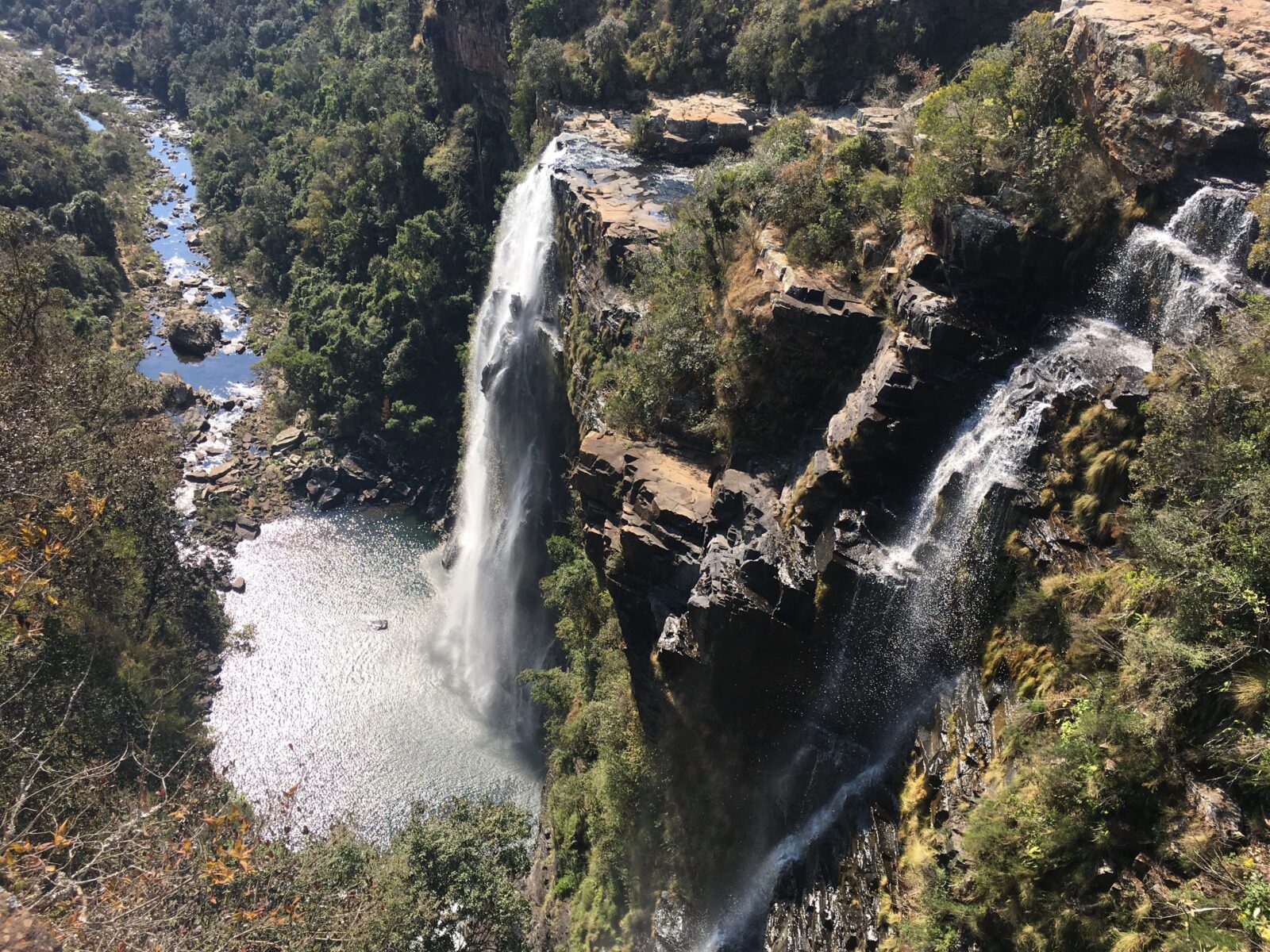 Safari in Südafrika