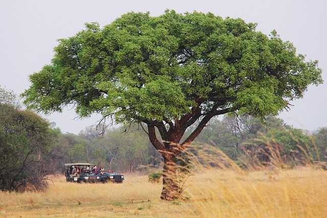 Nach Südafrika in der Business Class für nur 1.132 Euro