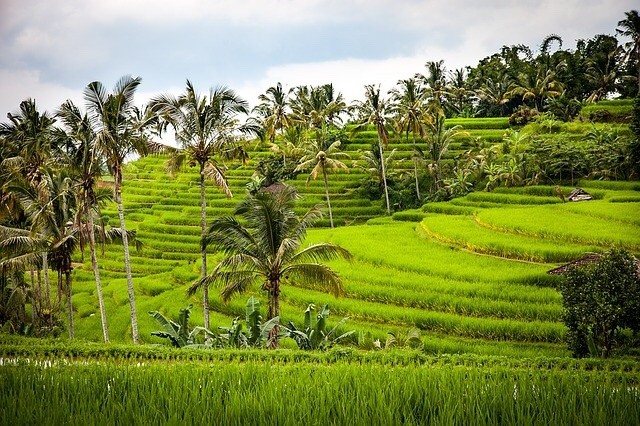 In der Business Class für 1.539 Euro nach Bali