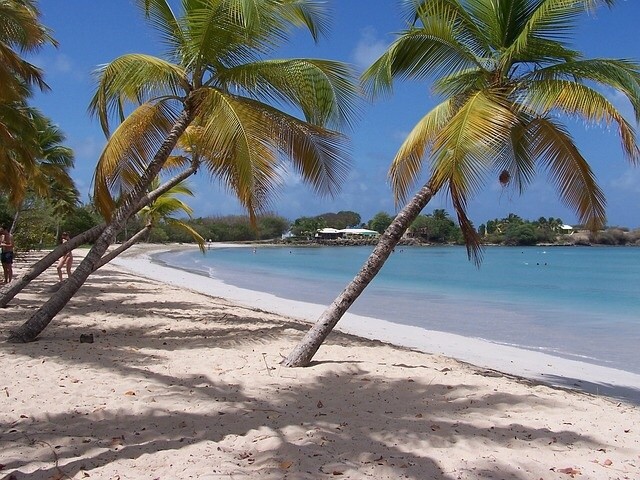 In der Business Class nach Martinique für 1.182€