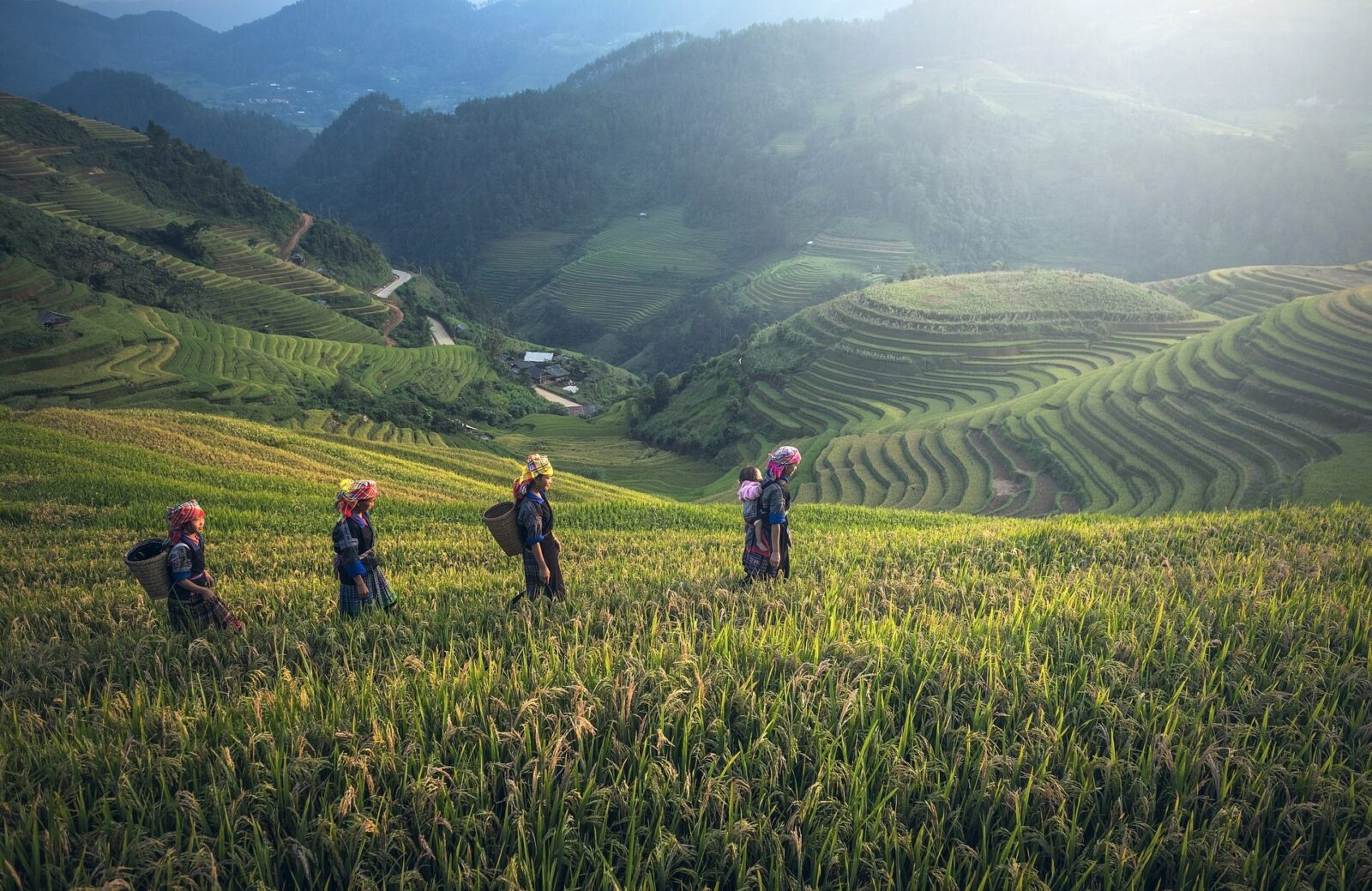 In der Business Class nach Vietnam für nur 1.404 Euro