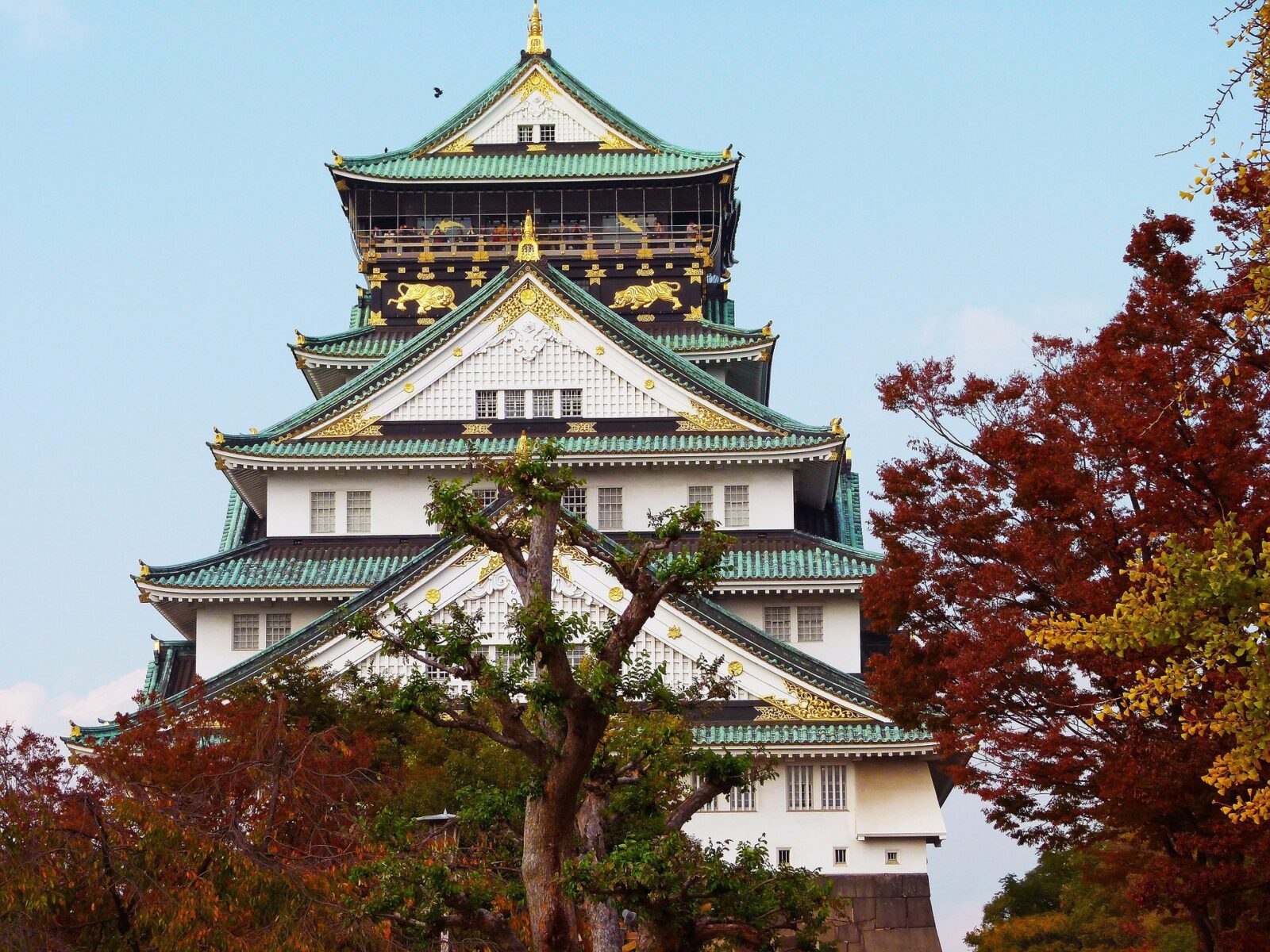 In der Business Class nach Japan für 1.466 Euro