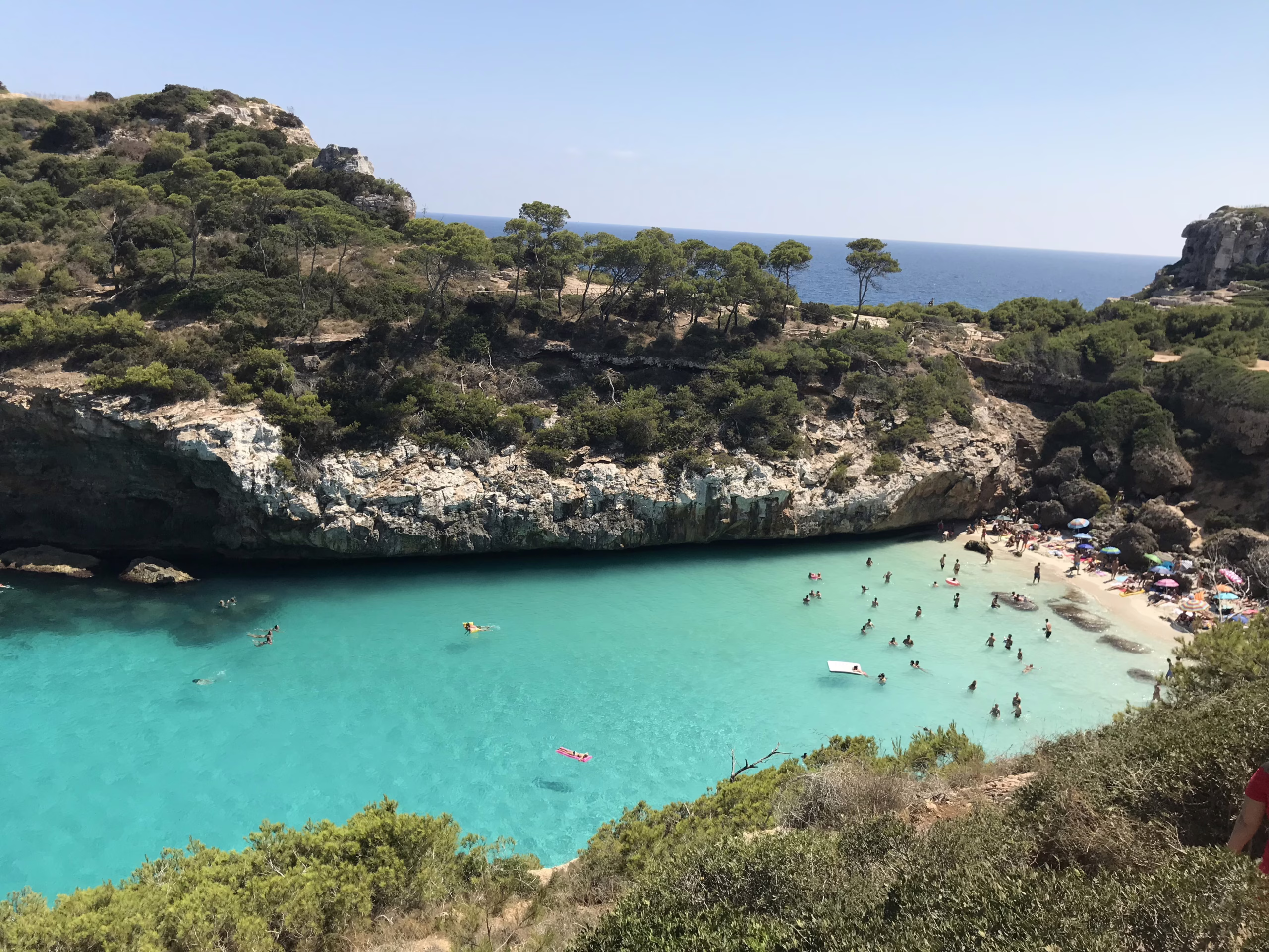 Nach Mallorca in der Business Class ab 200 Euro Nach Mallorca in der Business Class ab 200 Euro